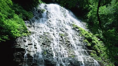 高端高效无人化